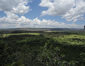 Vista de campo próximo ao Rio dos Couros na Chapada dos Veadeiros