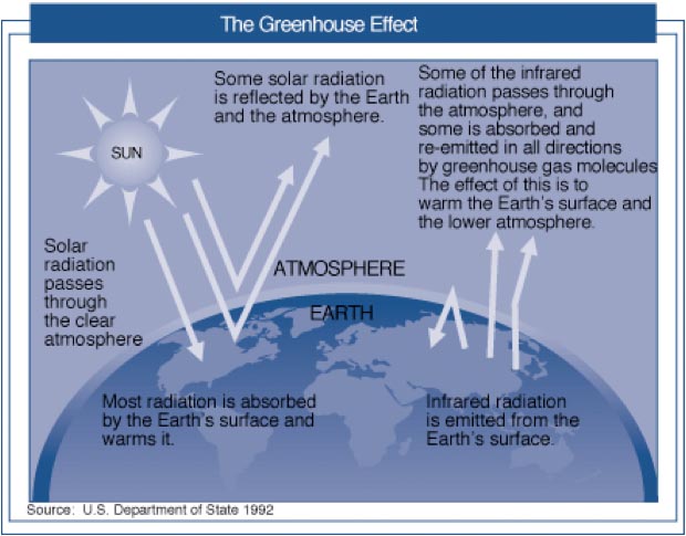 Carbon Emissions