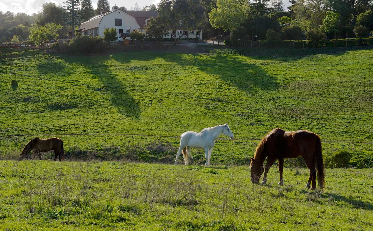 Los Altos Hills