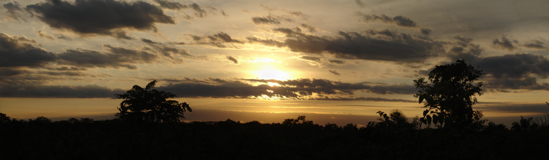 Pôr do Sol na mata - panorâmica